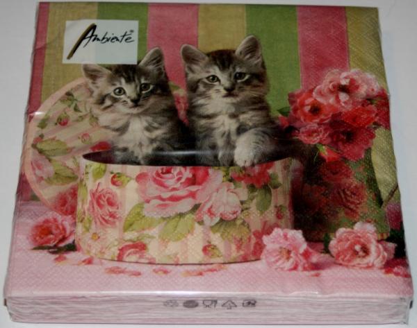 Servietten Cats in Box